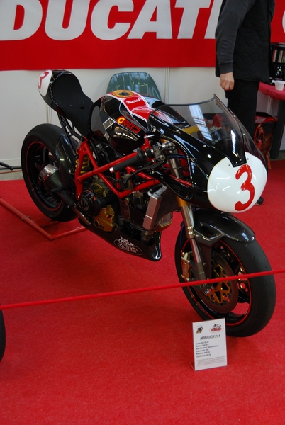 Puce_Niort_2009_010 [800x600].jpg
